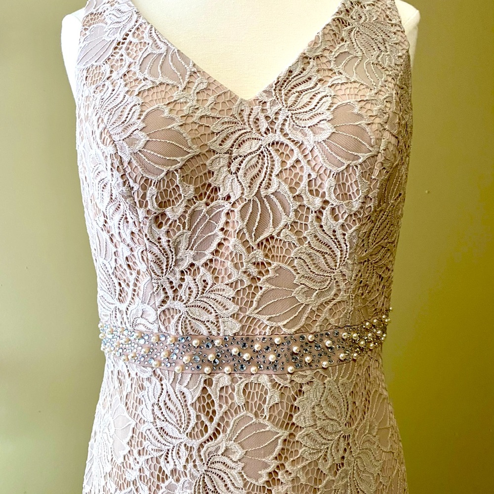 Alex Evenings Formal gown